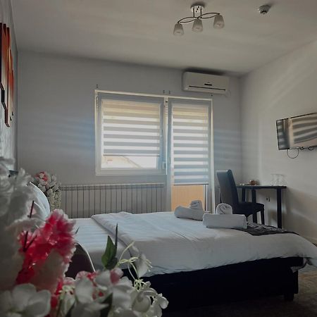 Kengur Resort Belgrad Zewnętrze zdjęcie